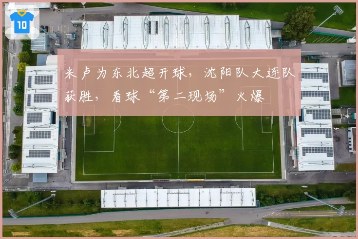 米卢为东北超开球，沈阳队大连队获胜，看球“第二现场”火爆